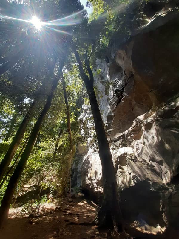 Tour Baños de Bosques, Huilo Huilo 2