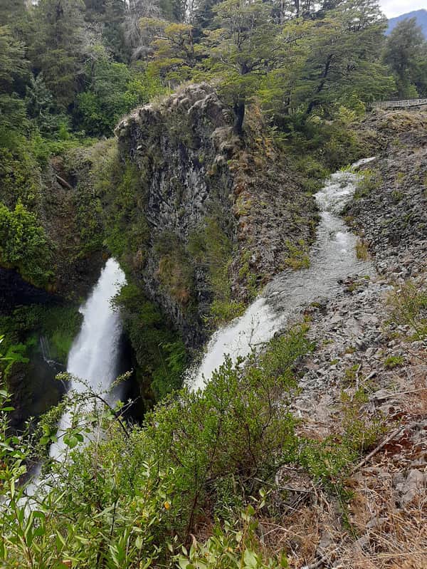 Tour Baños de Bosques, Huilo Huilo 6