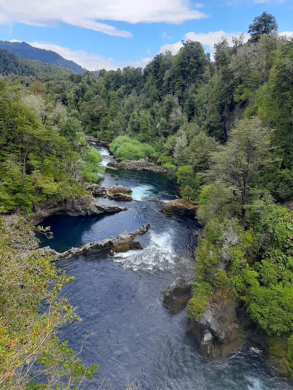 Tour Baños de Bosques, Huilo Huilo 7