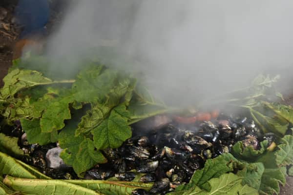 Curanto al Hoyo, Chiloé 9