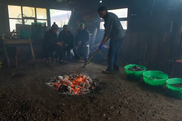 Curanto al Hoyo, Chiloé 5