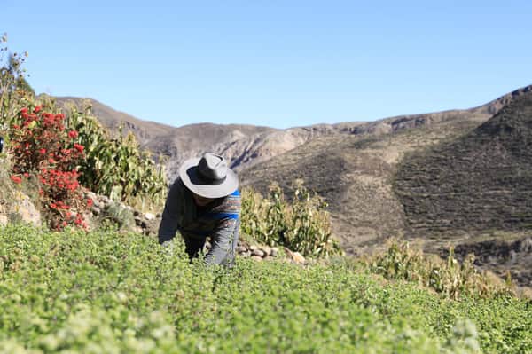 Turismo Vivencial Aymara 2