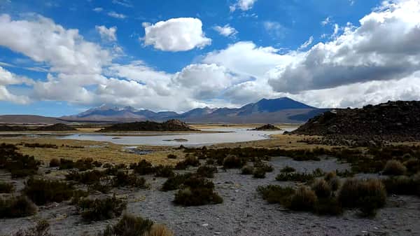 Excursión Parque Nacional Lauca 5
