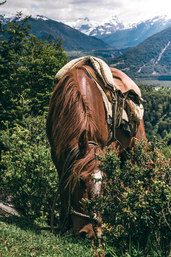 Cabalgata Ruta Arroyo las Nalcas 7