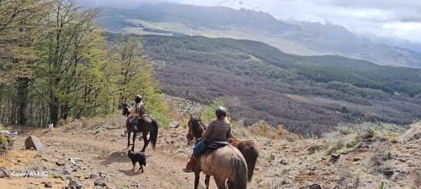 Cabalgata Mirador el Puma, sector Mano negra? Coyhaique 4