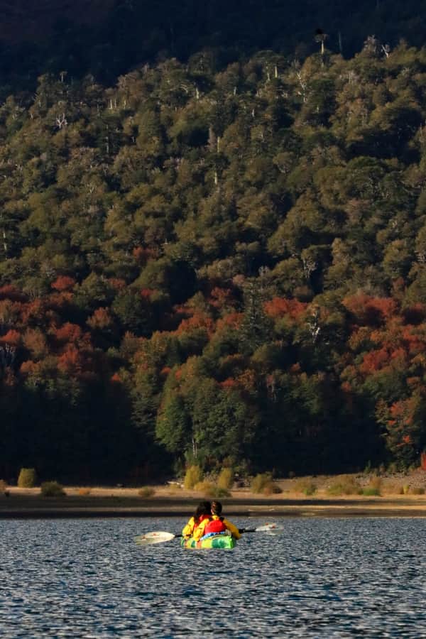 Kayak en Lago Conguillio 12