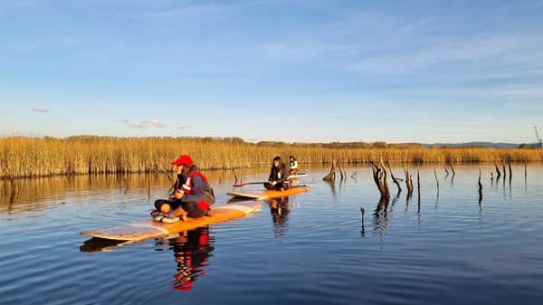 Travesía SUP y Kayak Sunset Tour Grupal 2