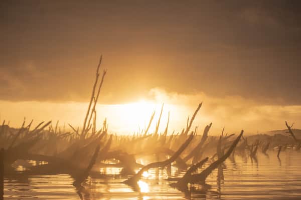 Kayaking al amanecer  6