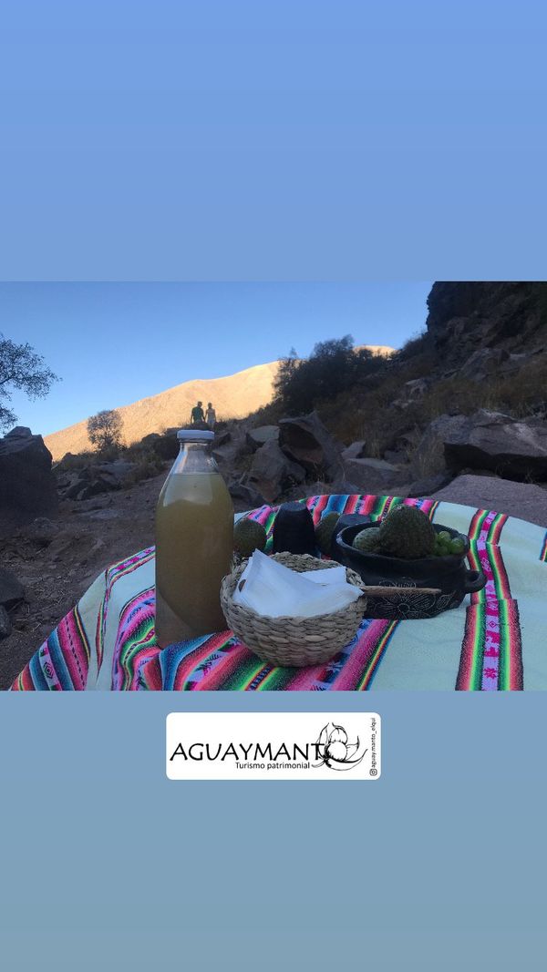 Ruta por los Patrimonios Bioculturales de Vicuña