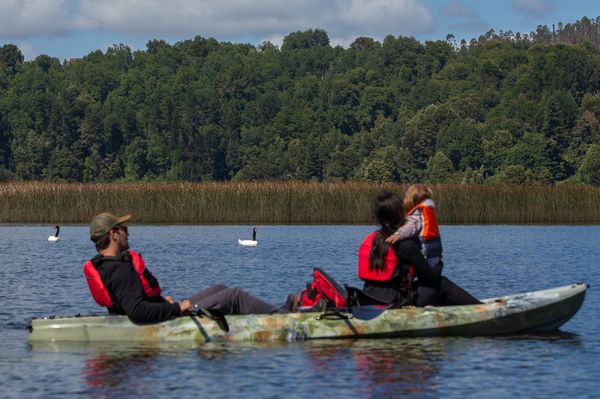AM SUP or Kayak Tour: Nature Sanctuary