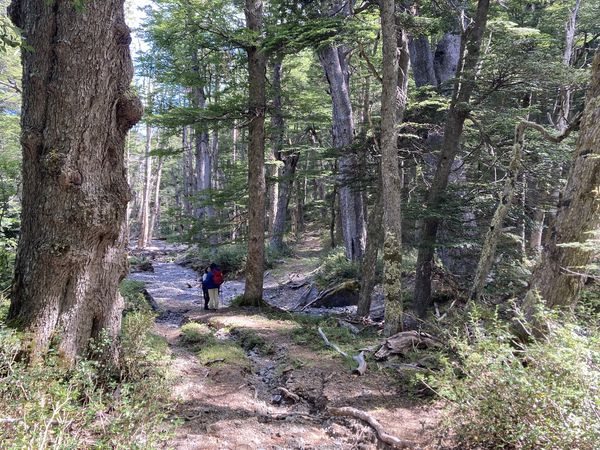 Trekking  Full day “Entre Cañadones”