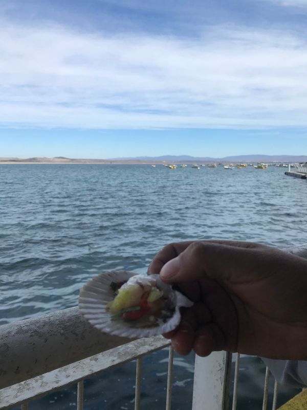 Ruta de Cordillera a Mar: Valle de Elqui