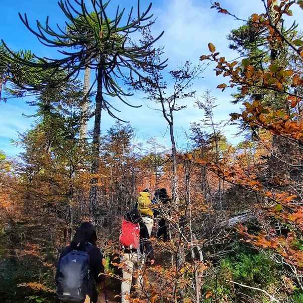 Voipir Viewpoint/Glacier Hiking