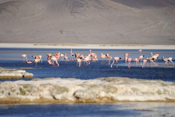 The Route of the Salt Flats