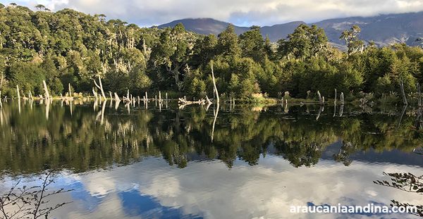 Descubra o Parque Nacional Conguillio
