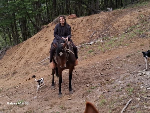 Cabalgata Mirador piedra el Puma, sector Mano negr